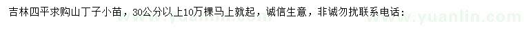 求購(gòu)30公分以上丁子小苗