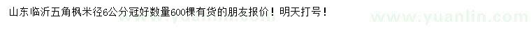 求購米徑6公分五角楓