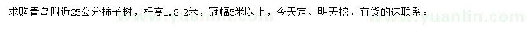 求購25公分柿子樹