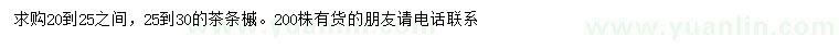 求購20-25、25-30公分茶條槭
