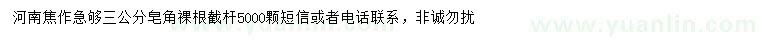 求購(gòu)3公分皂角
