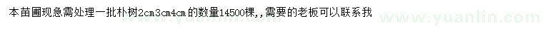 求購2、3、4、5公分樸樹