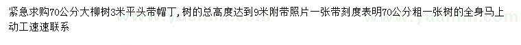求購(gòu)70公分大柳樹(shù)