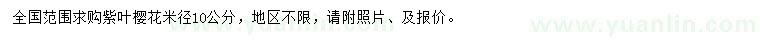 求購(gòu)米徑10公分紫葉櫻花