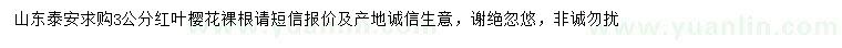 求購3公分紅葉櫻花
