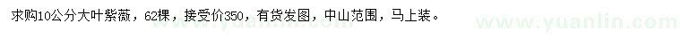 求購10公分大葉紫薇
