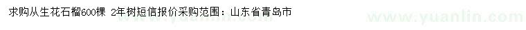 求購從生花石榴