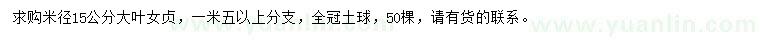 求購米徑15公分大葉女貞