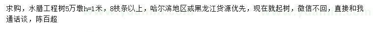 求購高1米水臘