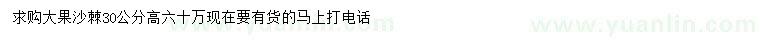 求購高30公分大果沙棘