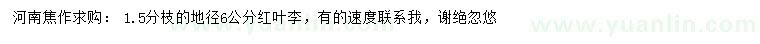 求購地徑6公分紅葉李