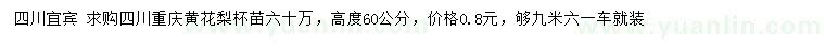 求購高60公分黃花梨