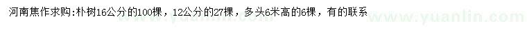 求購12、16公分樸樹