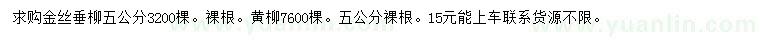 求購5公分金絲垂柳、黃柳