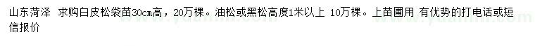 求購白皮松、油松、黑松