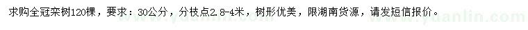 求購(gòu)30公分欒樹(shù)