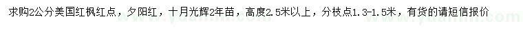 求購(gòu)2公分美國(guó)紅楓