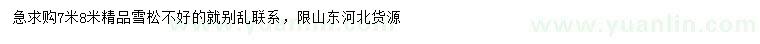 求購(gòu)7、8米精品雪松