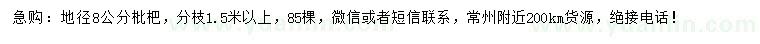 求購地徑8公分枇杷
