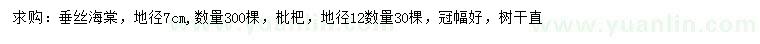求購地徑7公分垂絲海棠、12公分枇杷