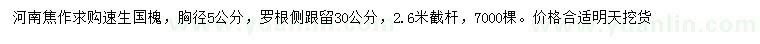 求購胸徑5公分速生國槐