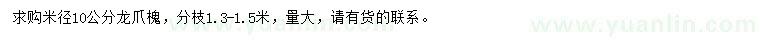 求購米徑10公分龍爪槐