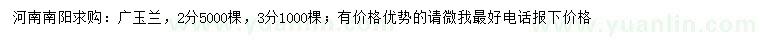 求購2、3公分廣玉蘭