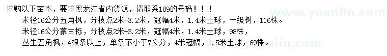 求購五角楓、蒙古櫟、叢生五角楓