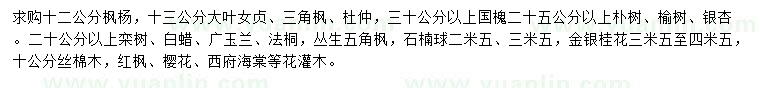 求購(gòu)楓楊、大葉女貞、三角楓等
