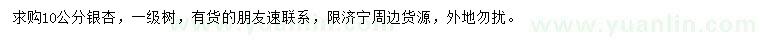 求購10公分銀杏