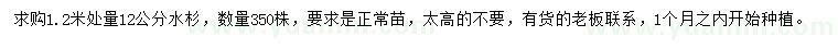 求購1.2米處量12公分水杉