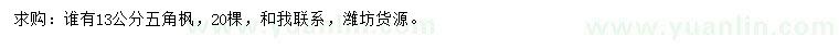 求購13公分五角楓