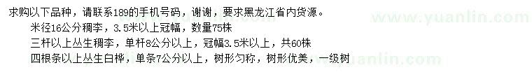 求購(gòu)稠李、叢生稠李、叢生白樺