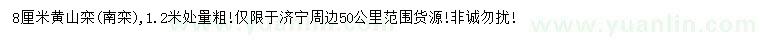 求購1.2米量8公分黃山欒樹