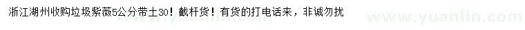 求購(gòu)5公分垃圾紫薇