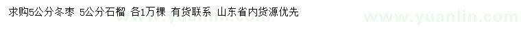 求購(gòu)5公分冬棗、石榴樹