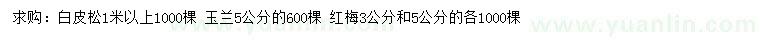 求購白皮松、玉蘭、紅梅