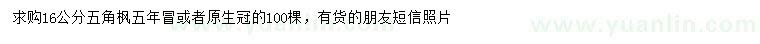 求購16公分五角楓