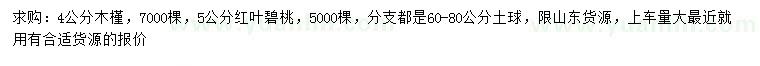 求購4公分木槿、5公分紅葉碧桃
