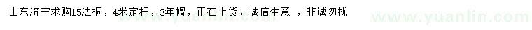 求購15公分法桐