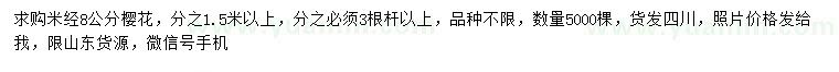求購(gòu)8公分櫻花