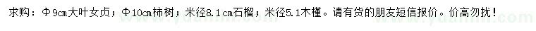 求購大葉女貞、柿樹、石榴樹等