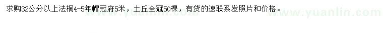 求購(gòu)32公分以上法桐