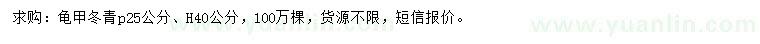 求購高40公分龜甲冬青