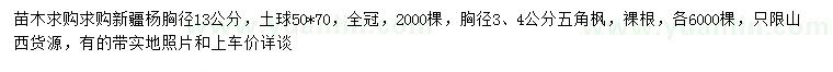 求購胸徑13公分新疆楊、胸徑3、4公分五角楓