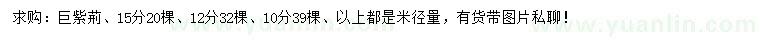 求購(gòu)米徑量10、12、15公分巨紫荊