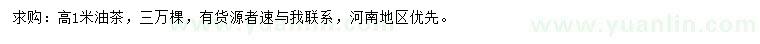 求購(gòu)高1米油茶