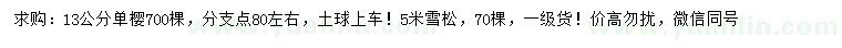 求購13公分單櫻、5米雪松