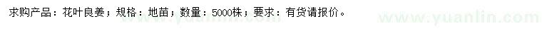 求購花葉良姜地苗
