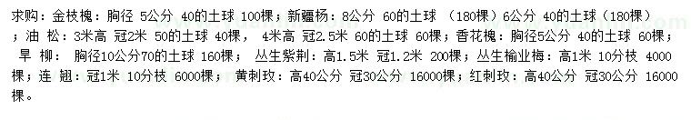求購金枝槐、新疆楊、油松等